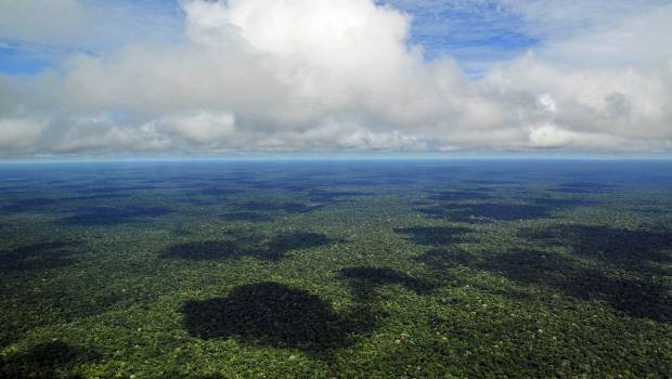 4 millions d’hectares de forêt amazonienne ouverts à l’exploitation minière