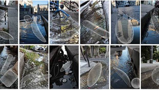 Les micro-organismes des caniveaux urbains sont-ils des micro-stations d’épuration ?