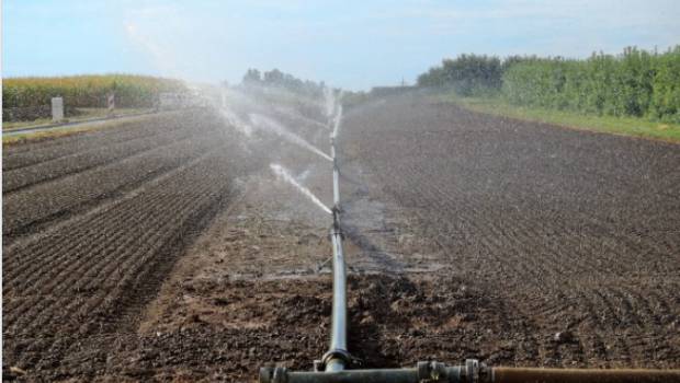 Bassin Seine-Normandie : 6,6 millions d'euros supplémentaires pour l'agriculture biologique