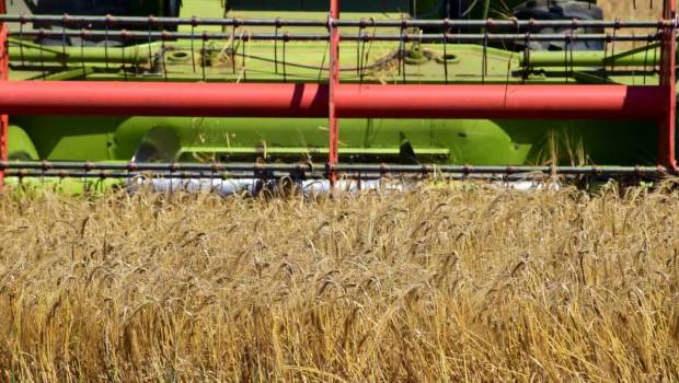 Les Etats généraux de l'alimentation se clôturent après cinq mois de travaux