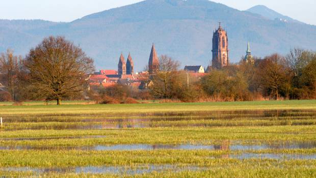Un AMI sur la qualité des eaux et la biodiversité dans le Grand Est