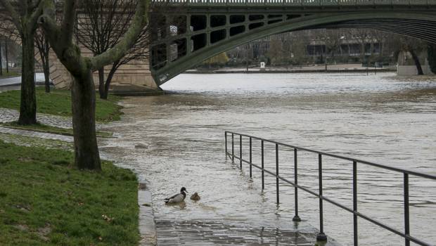 Paris se prépare à une montée rapide des eaux de la Seine ce week-end