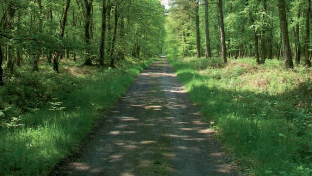 Un guide pour la création et l’entretien de voiries forestières