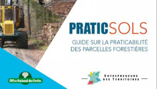 Un guide pour la protection des sols forestiers pendant les chantiers