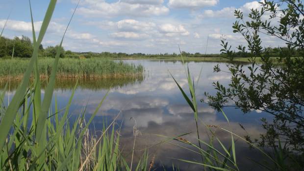 L'agence de l'eau Seine-Normandie et l'association Ramsar France s'engagent sur les zones humides