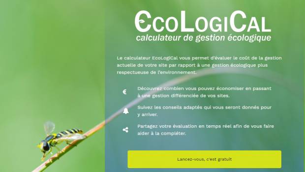 Ecological : un calculateur pour améliorer la gestion écologique des espaces verts