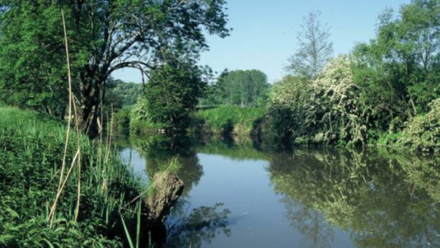 Bassin Rhin-Meuse : un guide pour une meilleure compatibilité des documents d'urbanisme et des plans de gestion des eaux et risques d'inondation