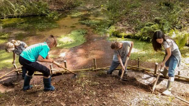 L'opération « Fréquence Grenouille » sensibilise le grand public à la préservation des zones humides