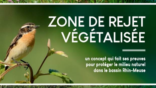 L'Agence de l'eau Rhin-Meuse publie son guide 2018 sur les zones de rejet végétalisées