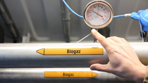 [Dossier] Biogaz : un bon filon pour la transition énergétique