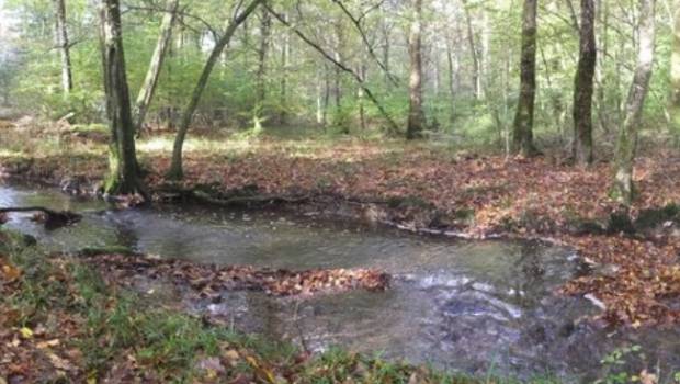 Selon une étude, les cours d'eau intermittents participent aux émissions globales de CO2