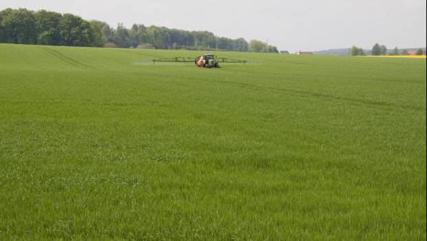 Recherche : il existe un lien entre exposition aux pesticides et maladies métaboliques