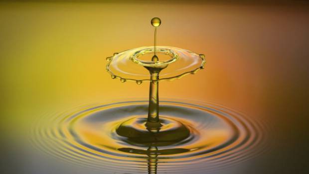 Ressources en eau : les comités de bassin invitent collectivités et entreprises à signer une charte d’engagement