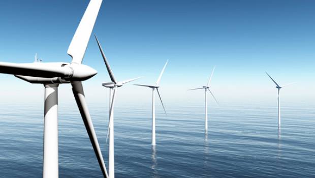 Parc éolien en mer à Dieppe : l’Autorité environnementale remet en question le choix du site