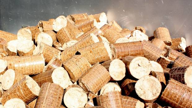 En Europe, la biomasse solide a monté en puissance en 2019