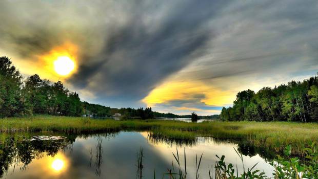 Biotope renforce ses équipes en France et à l’international