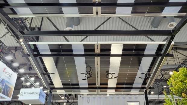 Agrivoltaïsme : Feedgy dévoile des panneaux solaires semi-transparents