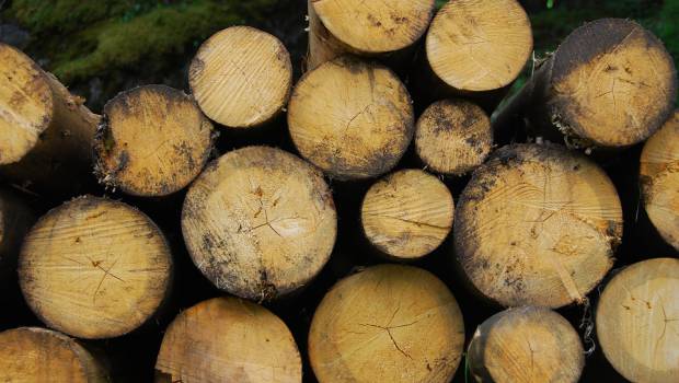 La chaleur renouvelable représente 20,4 % de la consommation de chaleur en France