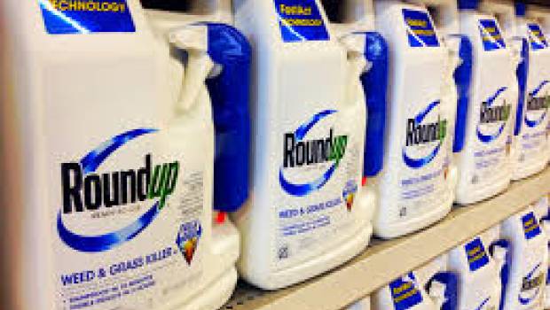 Une étude révèle que le Roundup créé des perturbations invisibles à l’échelle de l’organisme entier