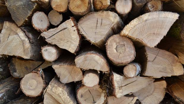 Réseaux de chaleur et de froid : un développement impacté par la diminution du Fonds chaleur