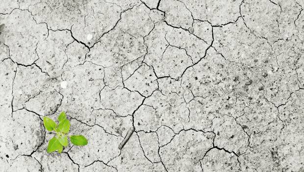 Une commission spécialisée sur l'adaptation au changement climatique installée au CNTE