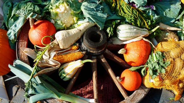 Un MOOC pour lutter contre le gaspillage alimentaire