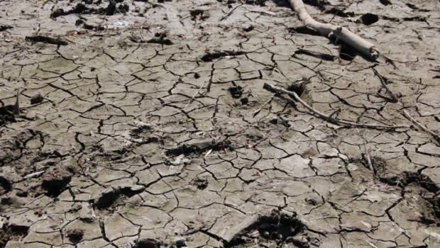 Sécheresse : l’AFB publie les résultats de son observation des cours d’eau français