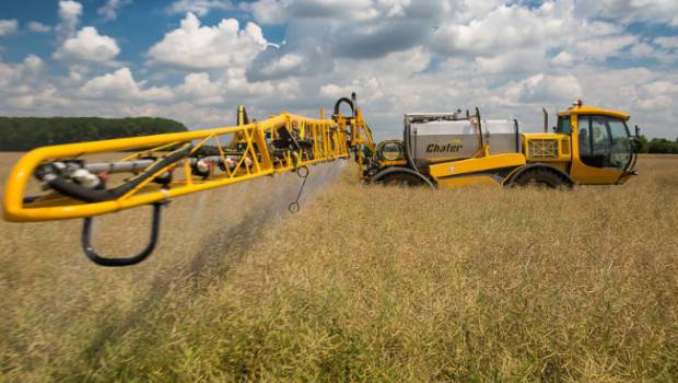 Ré-autorisation du glyphosate : toujours pas d'accord entre les Etats membres de l'UE