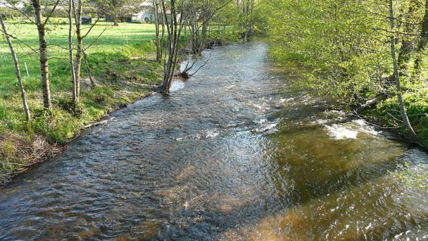 Une consultation ouverte en vue d’un nouveau portail d’informations sur la biodiversité