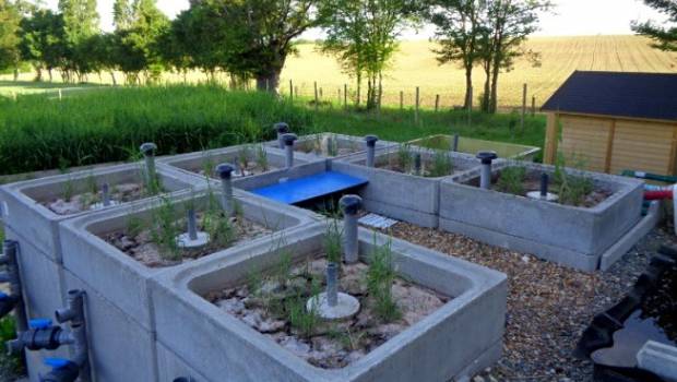 Conjuguer filtre planté de roseaux et gestion intégrée des boues