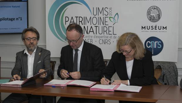 Biodiversité : un nouveau centre d'expertise scientifique pour les collectivités locales et les entreprises