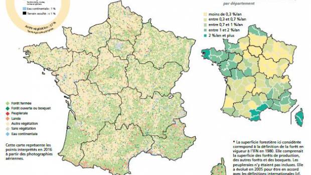 La forêt française poursuit son expansion pour atteindre aujourd'hui 31 % du territoire métropolitain