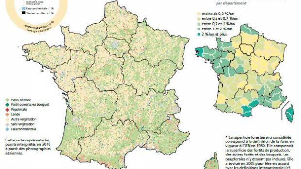 La forêt française poursuit son expansion pour atteindre aujourd'hui 31 ...