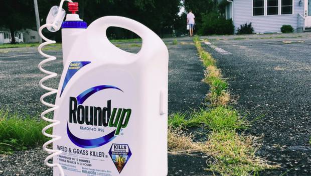 Une étude révèle la présence de métaux lourds dans les herbicides à base de glyphosate