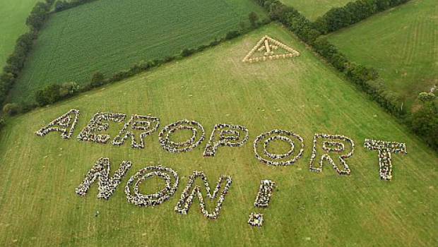 Notre-Dame-des-Landes : les collectivités appuient l'option du transfert auprès du Premier ministre