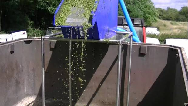 Le Skimcrush d’Armorvif signe la fin des lentilles d’eau