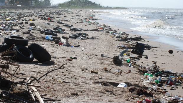 Tout savoir sur : le nouvel indicateur de l'empreinte biodiversité « Global Biodiversity Score »