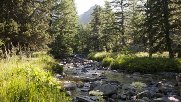 L’UICN publie un panorama des services rendus par les écosystèmes français