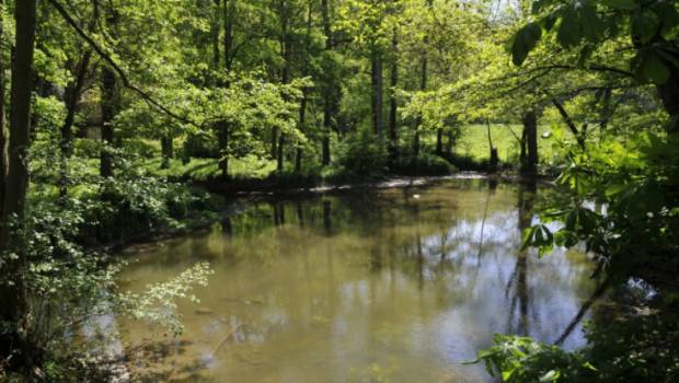 L'ONF et HSBC France renouvellent leur partenariat pour deux ans