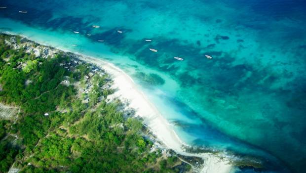 Face au réchauffement planétaire, 50 % des espèces sont menacées d’extinction