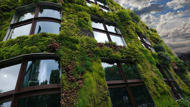 Des solutions fondées sur la nature, pour une meilleure gestion de l’eau au niveau mondial