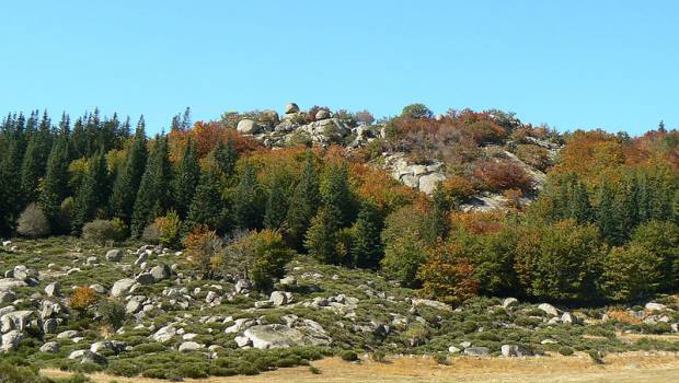 La huitième édition des capitales françaises de la biodiversité est lancée