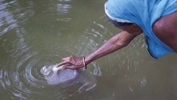 Journée mondiale de l'eau : 30% de la population mondiale n'a pas d'accès direct à l'eau potable