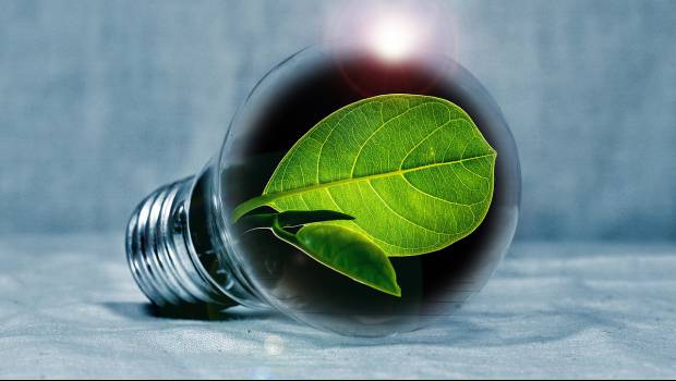 Forum national des éco-entreprises : cinq innovations à l'honneur pour la neuvième édition
