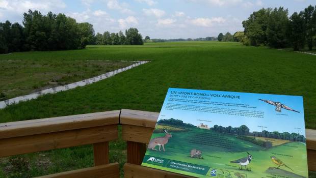 Dans la Loire, un ancien site d’extraction de granulats réhabilité en espace naturel