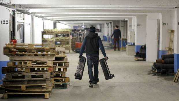 A Paris, « La Caverne » cultive son jardin dans un parking sous-terrain