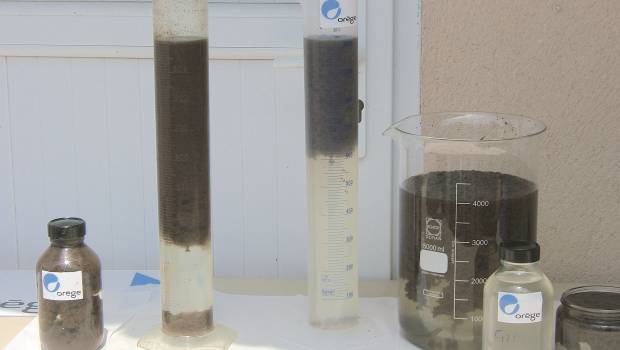 Orege mise sur l’international pour son développement