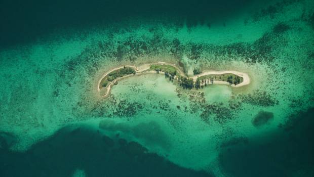 La barrière de corail du Bélize n’est plus en péril