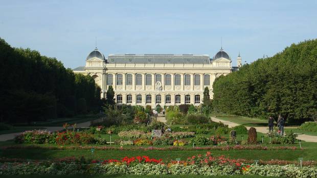 Le Muséum national d'histoire naturelle s'engage dans la rénovation énergétique de ses bâtiments