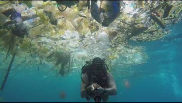 Des députés LREM veulent « sortir le plastique inutile »